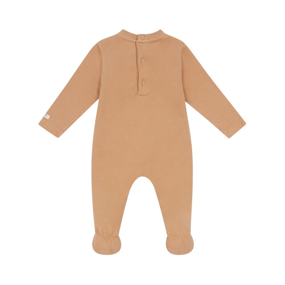 Immagine diapositiva