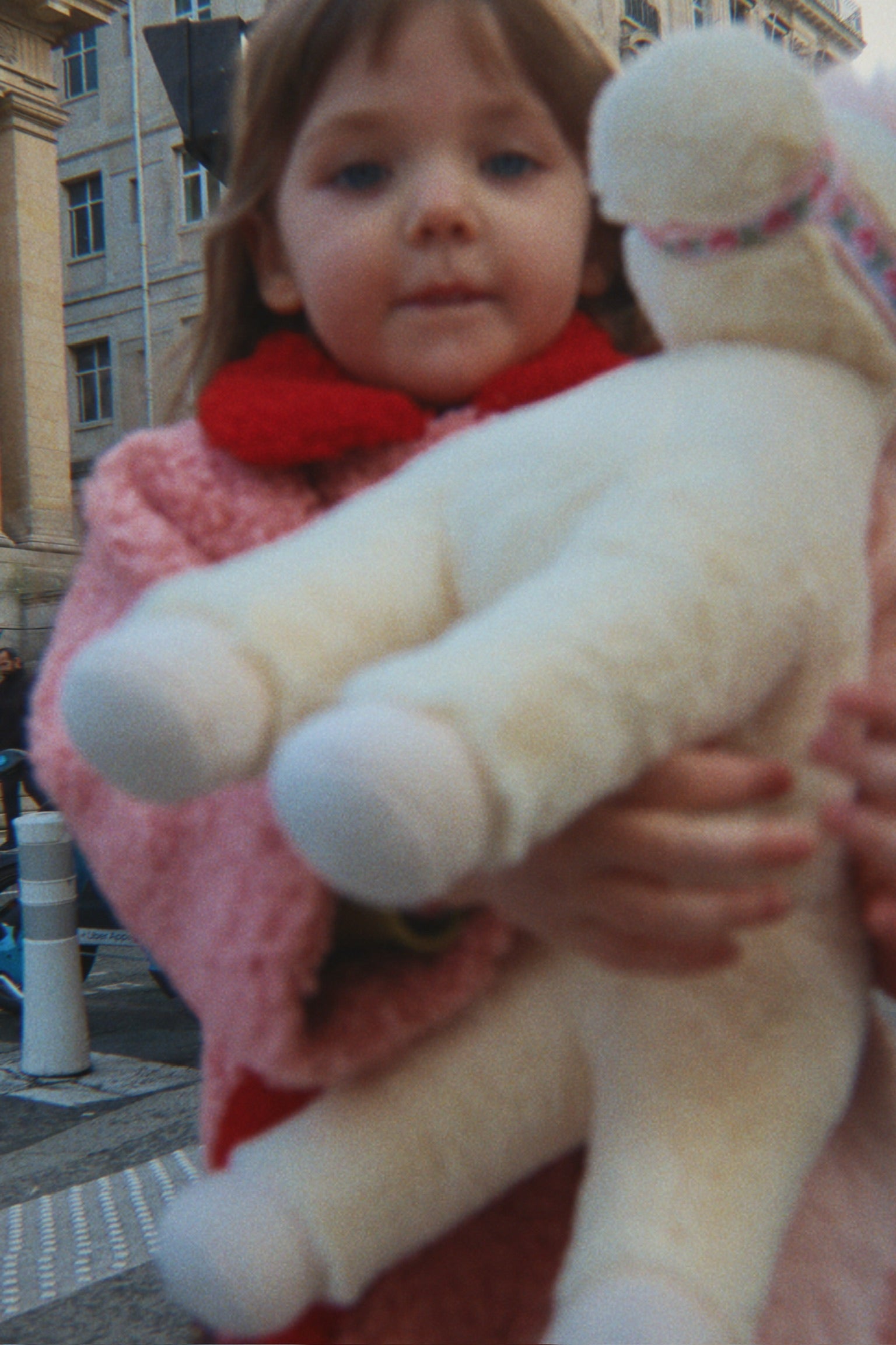 Immagine diapositiva