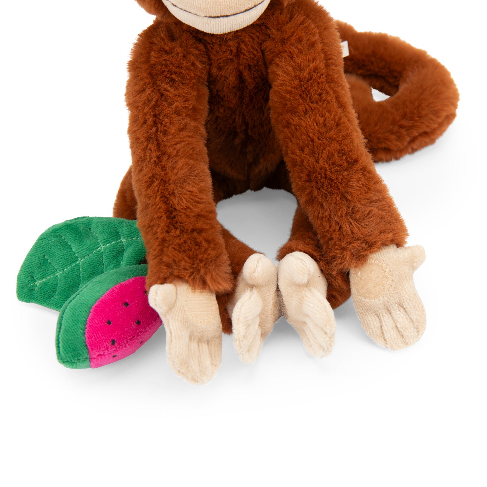 Activity monkey Mochica