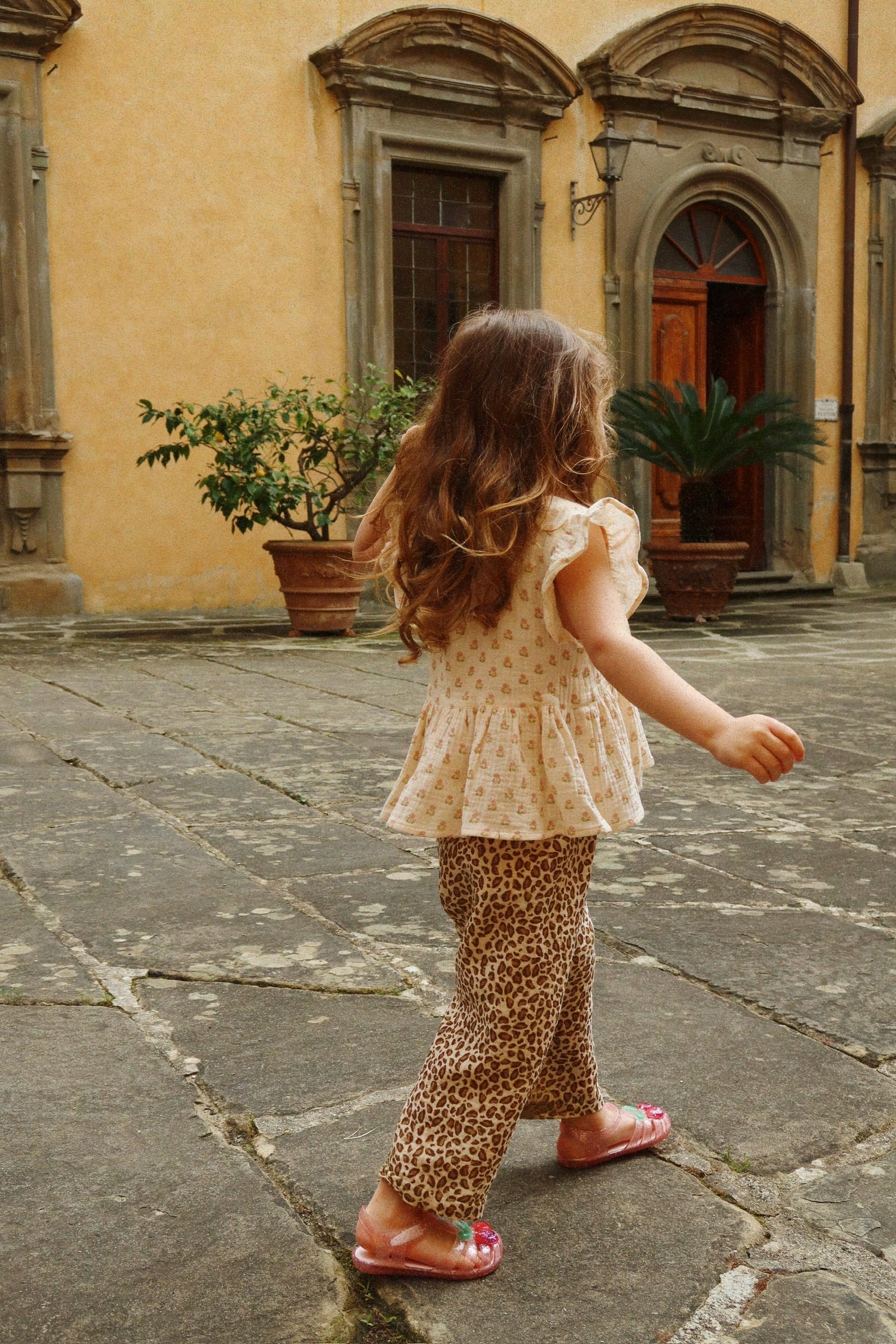 Immagine diapositiva