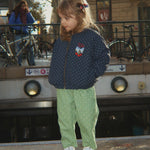 Slide image