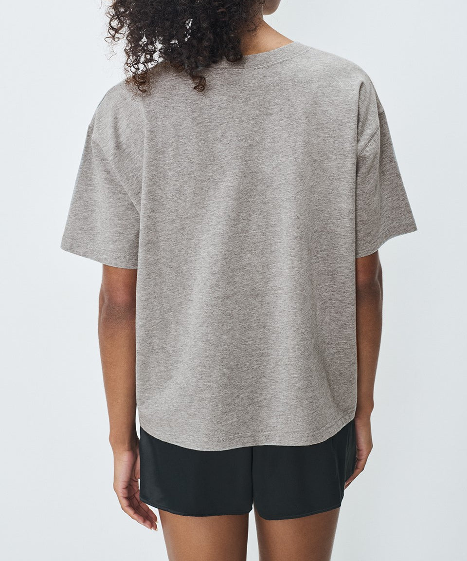 Fizvalley T-shirt — Grey