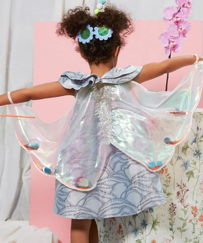 Sequin Butterfly Wings Dress Up